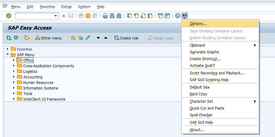 SAP Easy Access screen with the GUI Options menu open